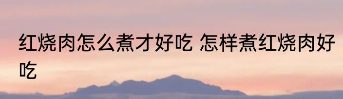 红烧肉怎么煮才好吃 怎样煮红烧肉好吃