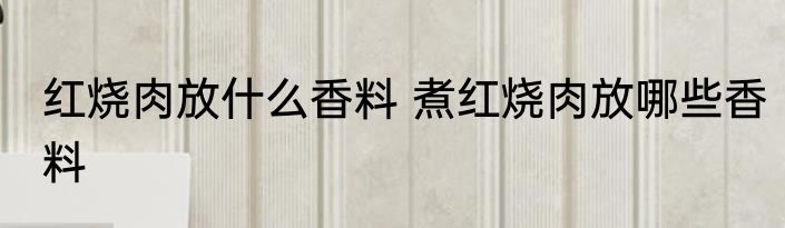 红烧肉放什么香料 煮红烧肉放哪些香料