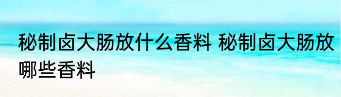 秘制卤大肠放什么香料 秘制卤大肠放哪些香料