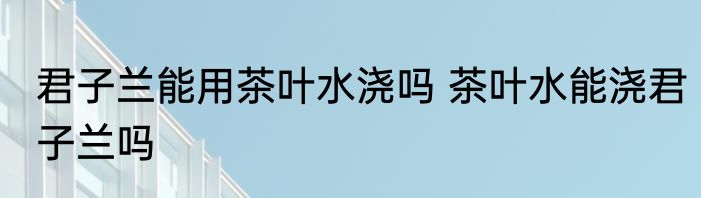 君子兰能用茶叶水浇吗 茶叶水能浇君子兰吗