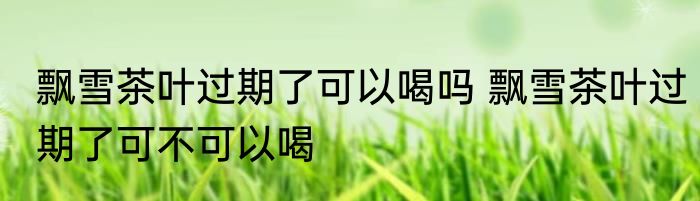 飘雪茶叶过期了可以喝吗 飘雪茶叶过期了可不可以喝
