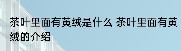 茶叶里面有黄绒是什么 茶叶里面有黄绒的介绍