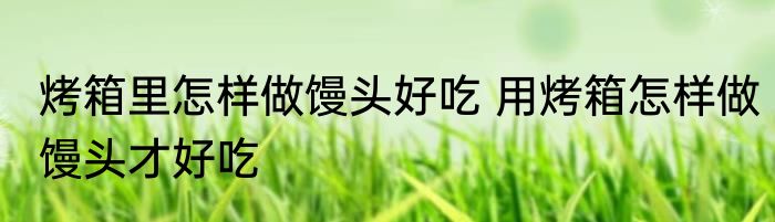 烤箱里怎样做馒头好吃 用烤箱怎样做馒头才好吃