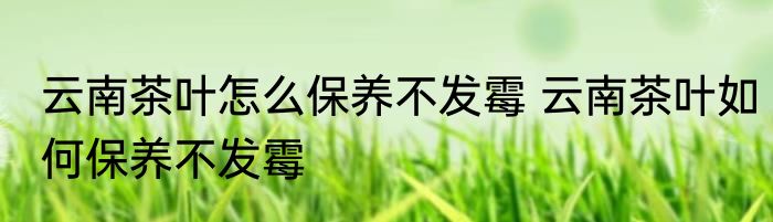 云南茶叶怎么保养不发霉 云南茶叶如何保养不发霉