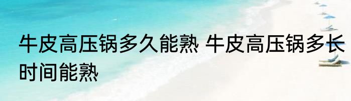 牛皮高压锅多久能熟 牛皮高压锅多长时间能熟