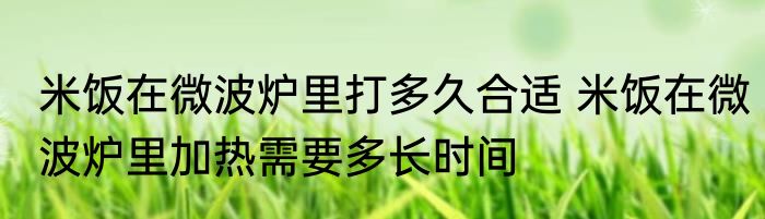 米饭在微波炉里打多久合适 米饭在微波炉里加热需要多长时间