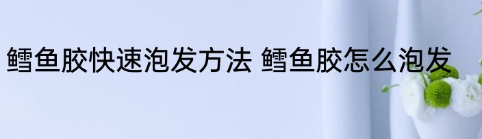 鳕鱼胶快速泡发方法 鳕鱼胶怎么泡发
