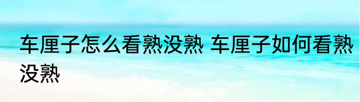 车厘子怎么看熟没熟 车厘子如何看熟没熟