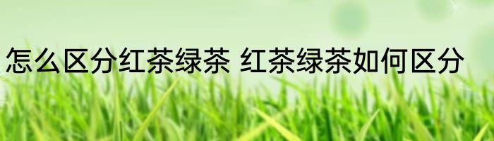 怎么区分红茶绿茶 红茶绿茶如何区分