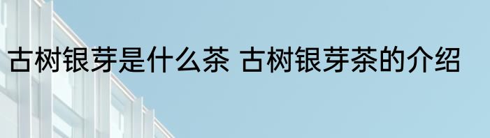 古树银芽是什么茶 古树银芽茶的介绍