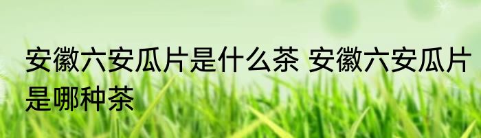 安徽六安瓜片是什么茶 安徽六安瓜片是哪种茶