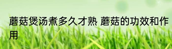 蘑菇煲汤煮多久才熟 蘑菇的功效和作用