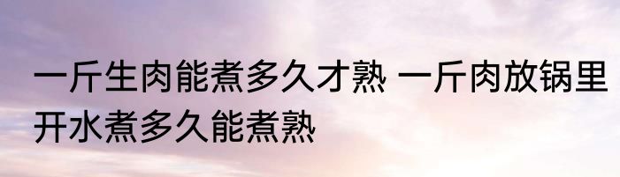 一斤生肉能煮多久才熟 一斤肉放锅里开水煮多久能煮熟