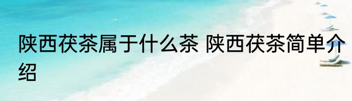 陕西茯茶属于什么茶 陕西茯茶简单介绍