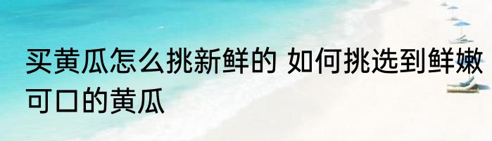 买黄瓜怎么挑新鲜的 如何挑选到鲜嫩可口的黄瓜