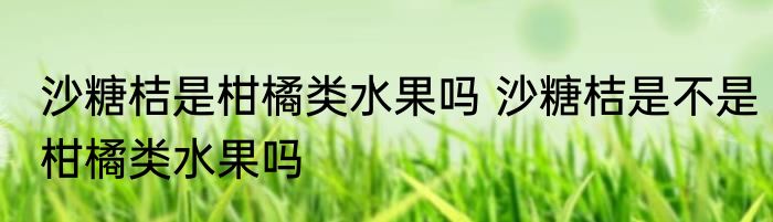 沙糖桔是柑橘类水果吗 沙糖桔是不是柑橘类水果吗