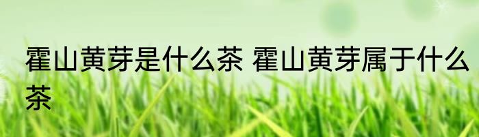 霍山黄芽是什么茶 霍山黄芽属于什么茶
