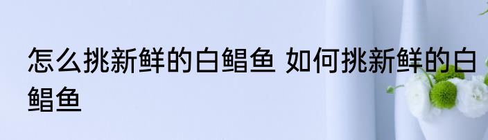 怎么挑新鲜的白鲳鱼 如何挑新鲜的白鲳鱼