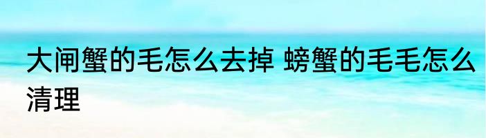 大闸蟹的毛怎么去掉 螃蟹的毛毛怎么清理