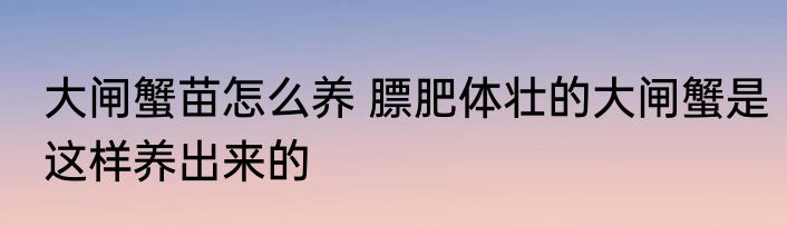 大闸蟹苗怎么养 膘肥体壮的大闸蟹是这样养出来的