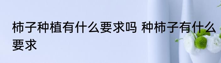 柿子种植有什么要求吗 种柿子有什么要求
