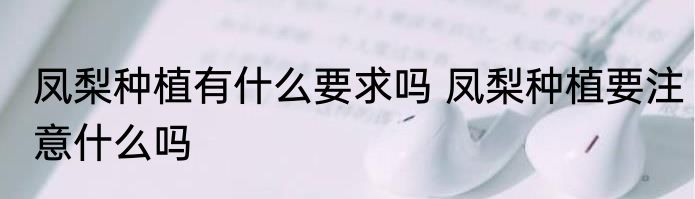 凤梨种植有什么要求吗 凤梨种植要注意什么吗