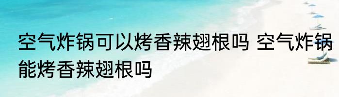 空气炸锅可以烤香辣翅根吗 空气炸锅能烤香辣翅根吗