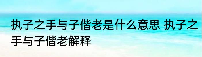 执子之手与子偕老是什么意思 执子之手与子偕老解释