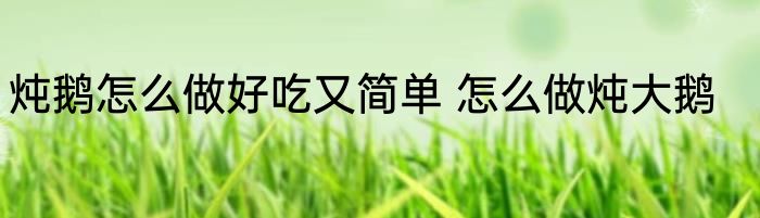 炖鹅怎么做好吃又简单 怎么做炖大鹅