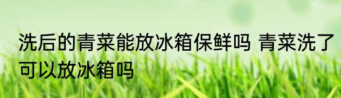 洗后的青菜能放冰箱保鲜吗 青菜洗了可以放冰箱吗