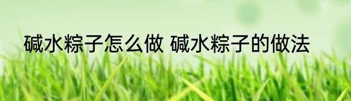 碱水粽子怎么做 碱水粽子的做法