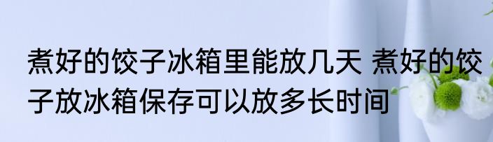 煮好的饺子冰箱里能放几天 煮好的饺子放冰箱保存可以放多长时间