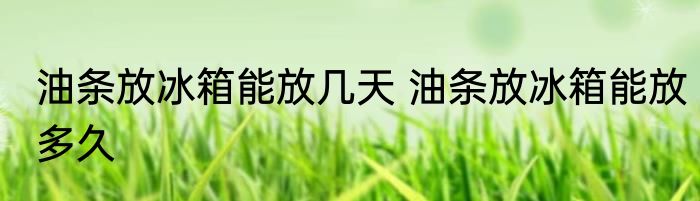 油条放冰箱能放几天 油条放冰箱能放多久