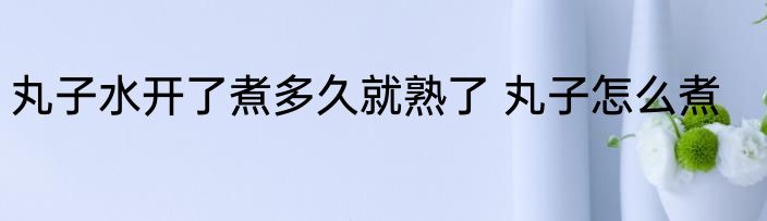 丸子水开了煮多久就熟了 丸子怎么煮