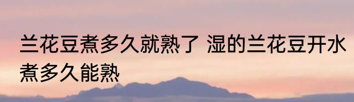 兰花豆煮多久就熟了 湿的兰花豆开水煮多久能熟