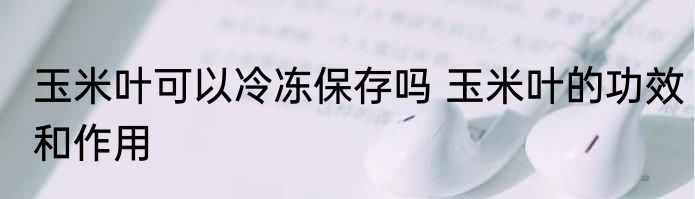 玉米叶可以冷冻保存吗 玉米叶的功效和作用