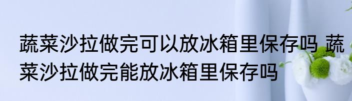 蔬菜沙拉做完可以放冰箱里保存吗 蔬菜沙拉做完能放冰箱里保存吗