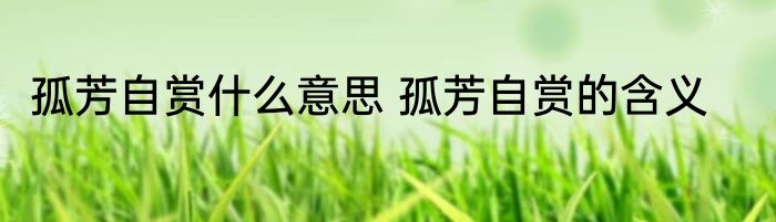 孤芳自赏什么意思 孤芳自赏的含义