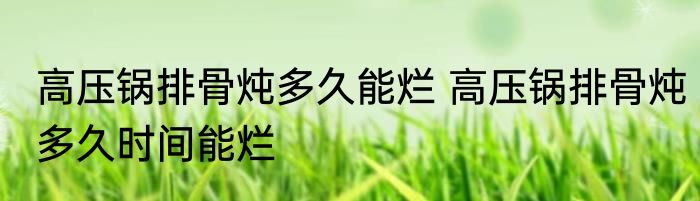高压锅排骨炖多久能烂 高压锅排骨炖多久时间能烂