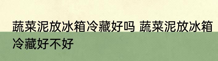 蔬菜泥放冰箱冷藏好吗 蔬菜泥放冰箱冷藏好不好