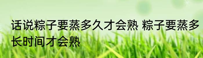 话说粽子要蒸多久才会熟 粽子要蒸多长时间才会熟
