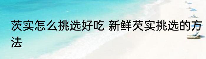 茨实怎么挑选好吃 新鲜芡实挑选的方法