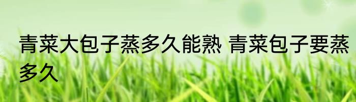 青菜大包子蒸多久能熟 青菜包子要蒸多久