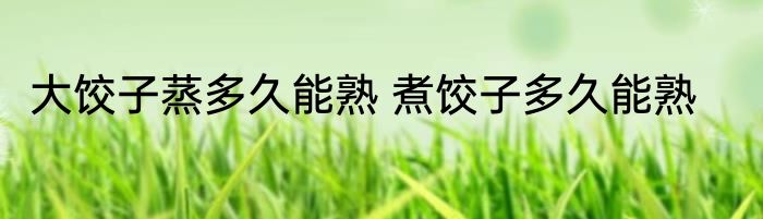 大饺子蒸多久能熟 煮饺子多久能熟