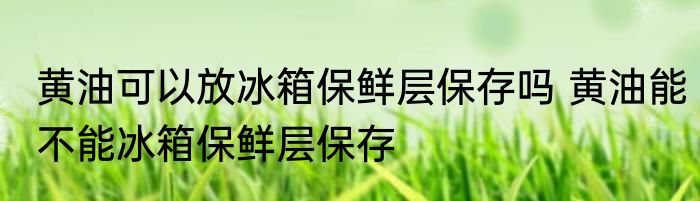 黄油可以放冰箱保鲜层保存吗 黄油能不能冰箱保鲜层保存