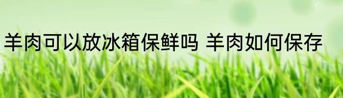 羊肉可以放冰箱保鲜吗 羊肉如何保存