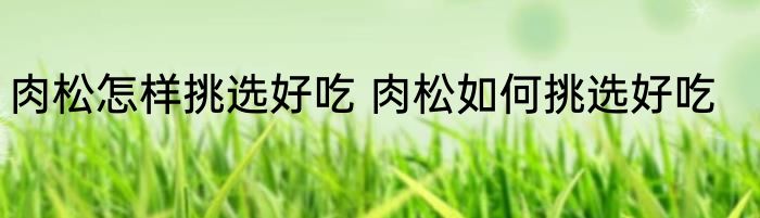 肉松怎样挑选好吃 肉松如何挑选好吃