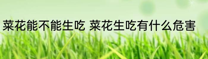 菜花能不能生吃 菜花生吃有什么危害