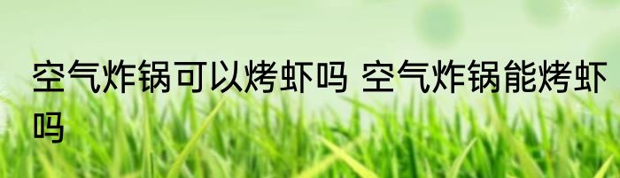 空气炸锅可以烤虾吗 空气炸锅能烤虾吗