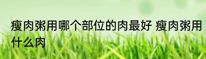 瘦肉粥用哪个部位的肉最好 瘦肉粥用什么肉